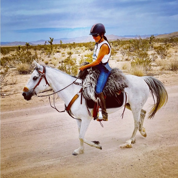 Piper Pants - PIPER equestrian by smartpak full seat riding tights denim marl XS